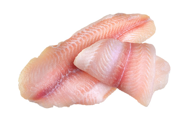 Halibut