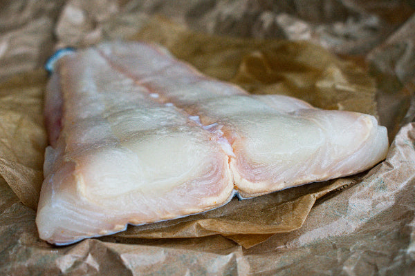 Halibut