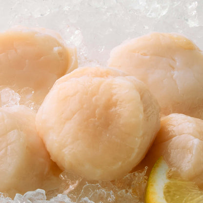 Japanese Dry Diver Scallops