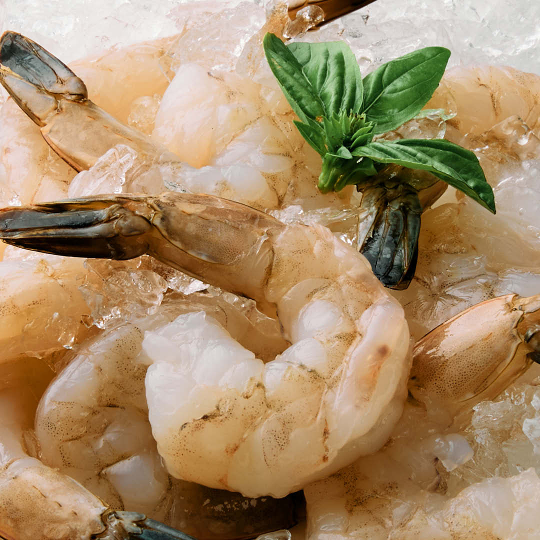 Jumbo White Shrimp
