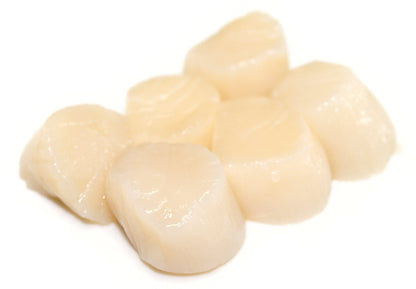 Scallops