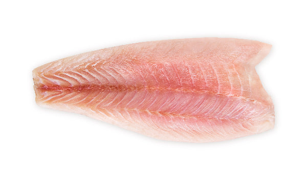 Sea Bass
