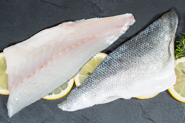 Sea Bass