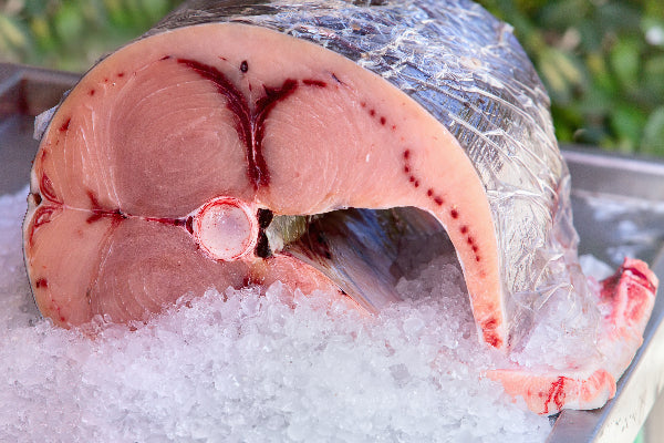 Swordfish