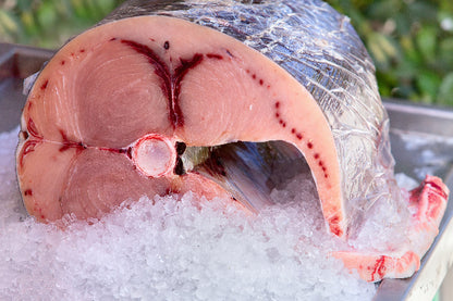 Swordfish